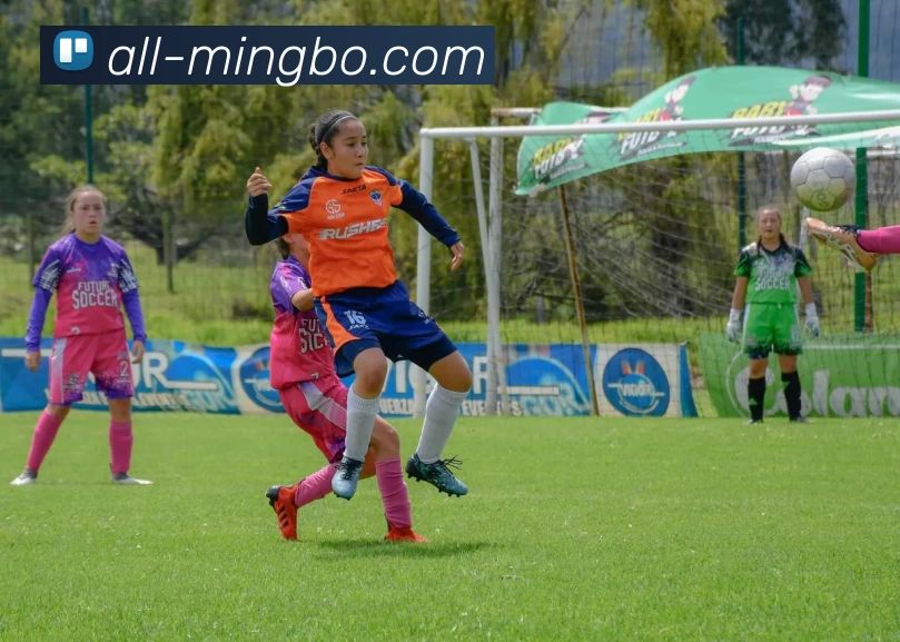 多媒体互动体验